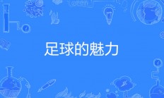 九游娱乐网址-精湛技术展现，艺术足球轻松打造的简单介绍