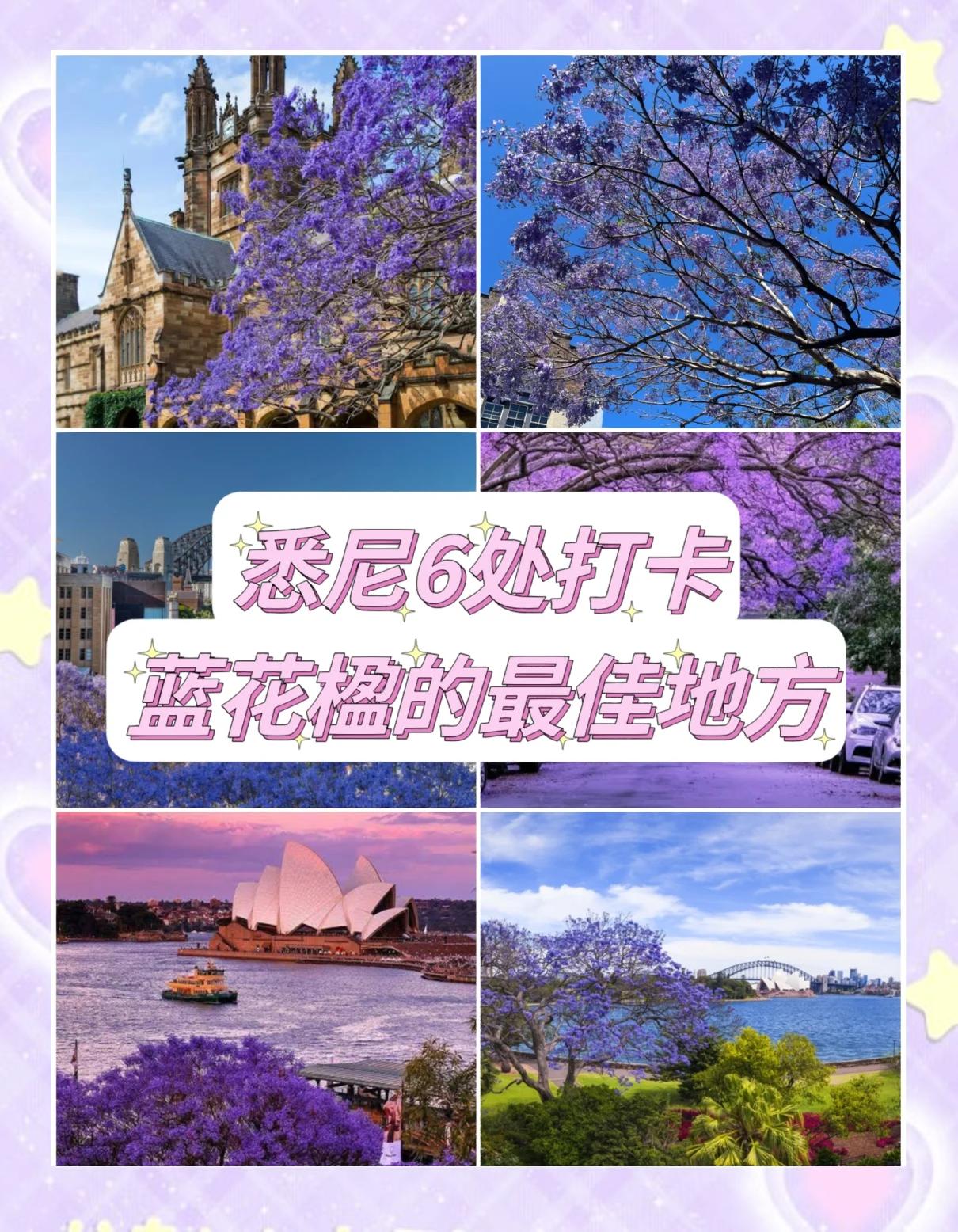 澳大利亚球队全面开花：悉尼风光无限(澳大利亚悉尼海边现数千颗不明黑色球体)